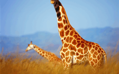 GIRAFFE Leadership: Standing Tall in a World of Change